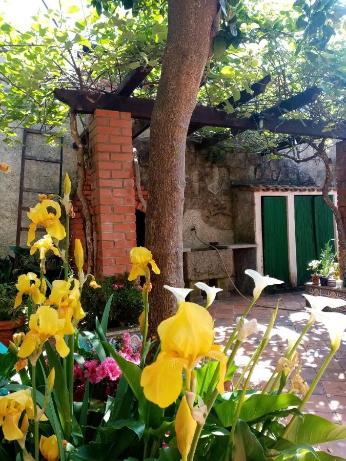 Nossa Casa Na Aldeia Apartment วีเซว ภายนอก รูปภาพ